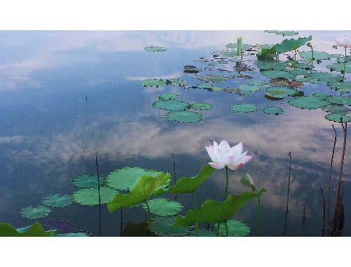 厦门儿童旅游景点推荐理由大全 ,第一次来旅游看这篇攻略就够~