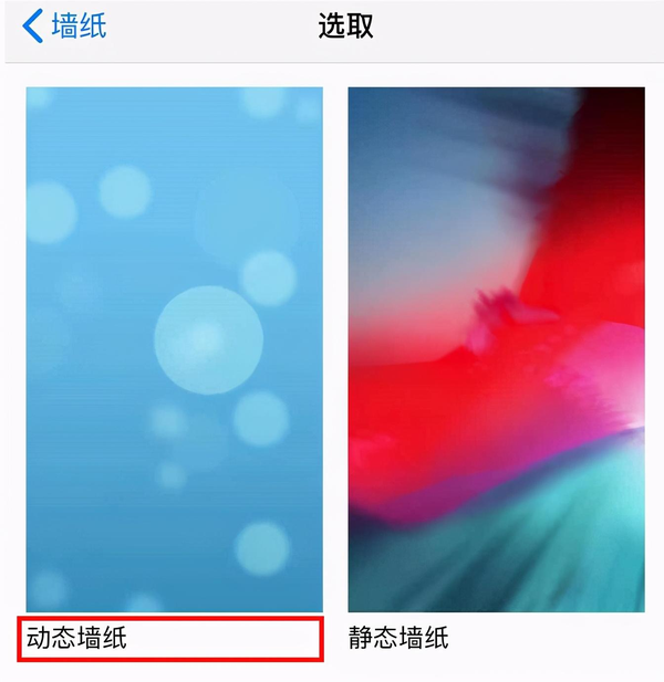 苹果怎么设置动态壁纸？四个步骤让iphone的壁纸动起来