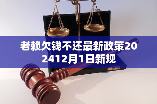 老赖欠钱不还最新政策202412月1日新规