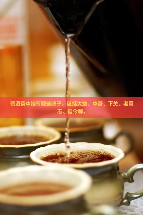 普洱茶中端有哪些牌子，包括大益、中茶、下关、老同志、福今等。