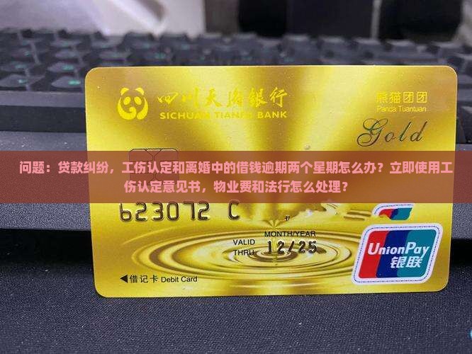 美团借钱逾期两个星期怎么办