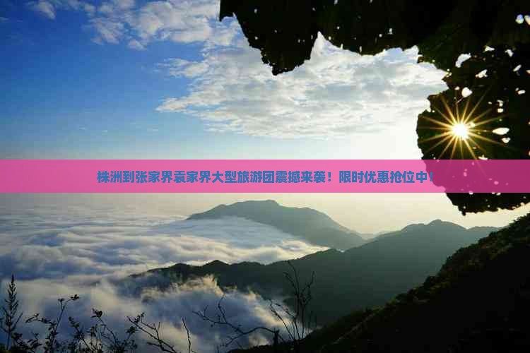 株洲到张家界袁家界大型旅游团 株洲到张家界袁家界大型旅游团