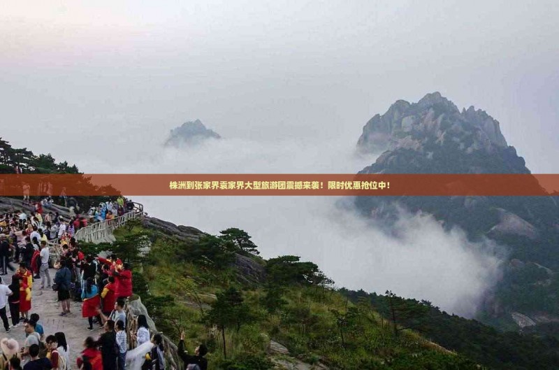 株洲到张家界袁家界大型旅游团 株洲到张家界袁家界大型旅游团