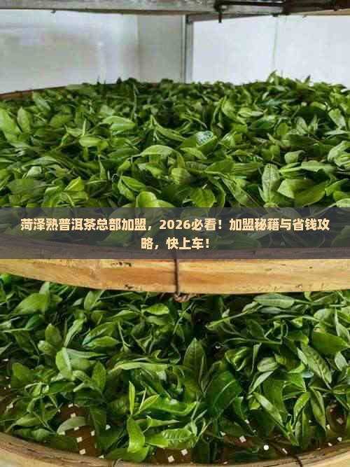 菏泽熟普洱茶总部加盟