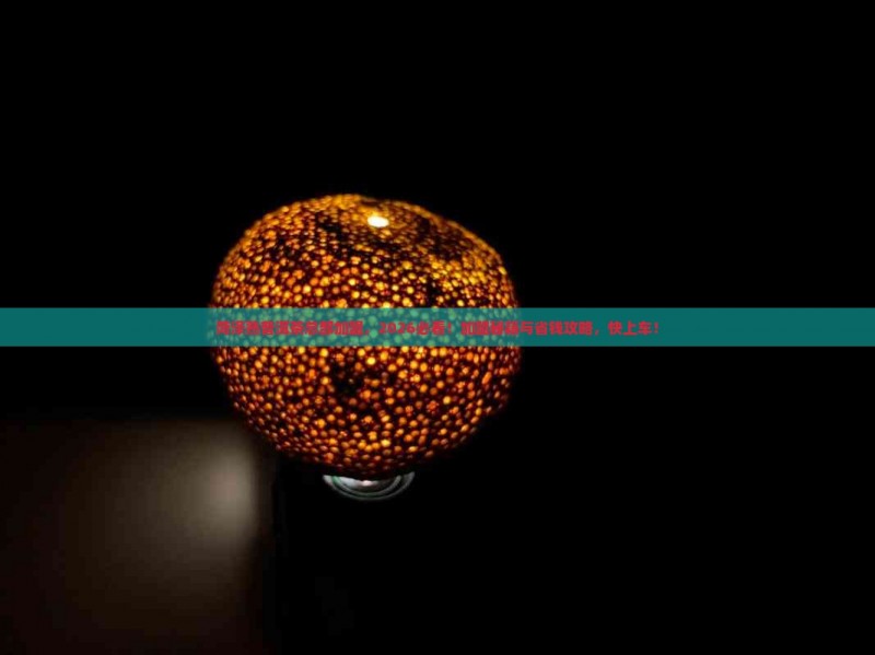 菏泽熟普洱茶总部加盟