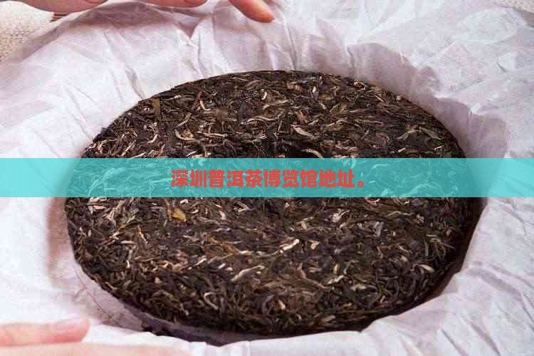 深圳普洱茶博览馆地址